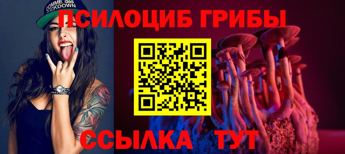 Галлюциногенные грибы Psilocybine cubensis Всеволожск