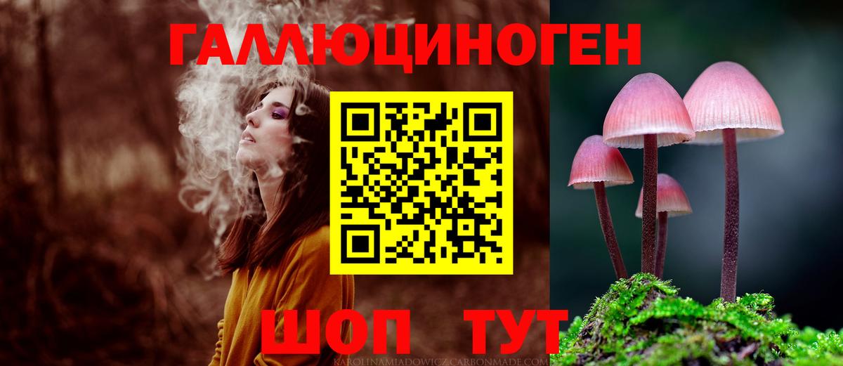 Галлюциногенные грибы GOLDEN TEACHER  Вход с VPN  Всеволожск  Псилоцибиновые грибы мицелий 